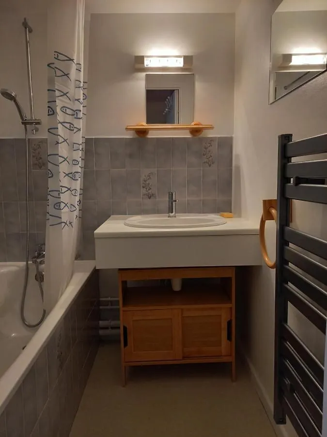 Apartment Studio 4 Personnes Centre Superbesse France